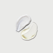 The Smoothing Body Bundle Z2